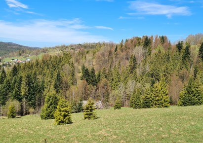 działka na sprzedaż - Rajcza, Sól