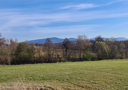 działka na sprzedaż - Jasienica, Bielowicko