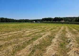 działka na sprzedaż - Wilamowice (gw), Pisarzowice